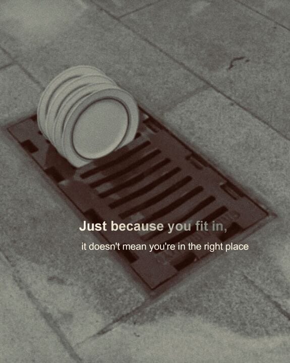 Four plates stand drying upright in a city water drain.